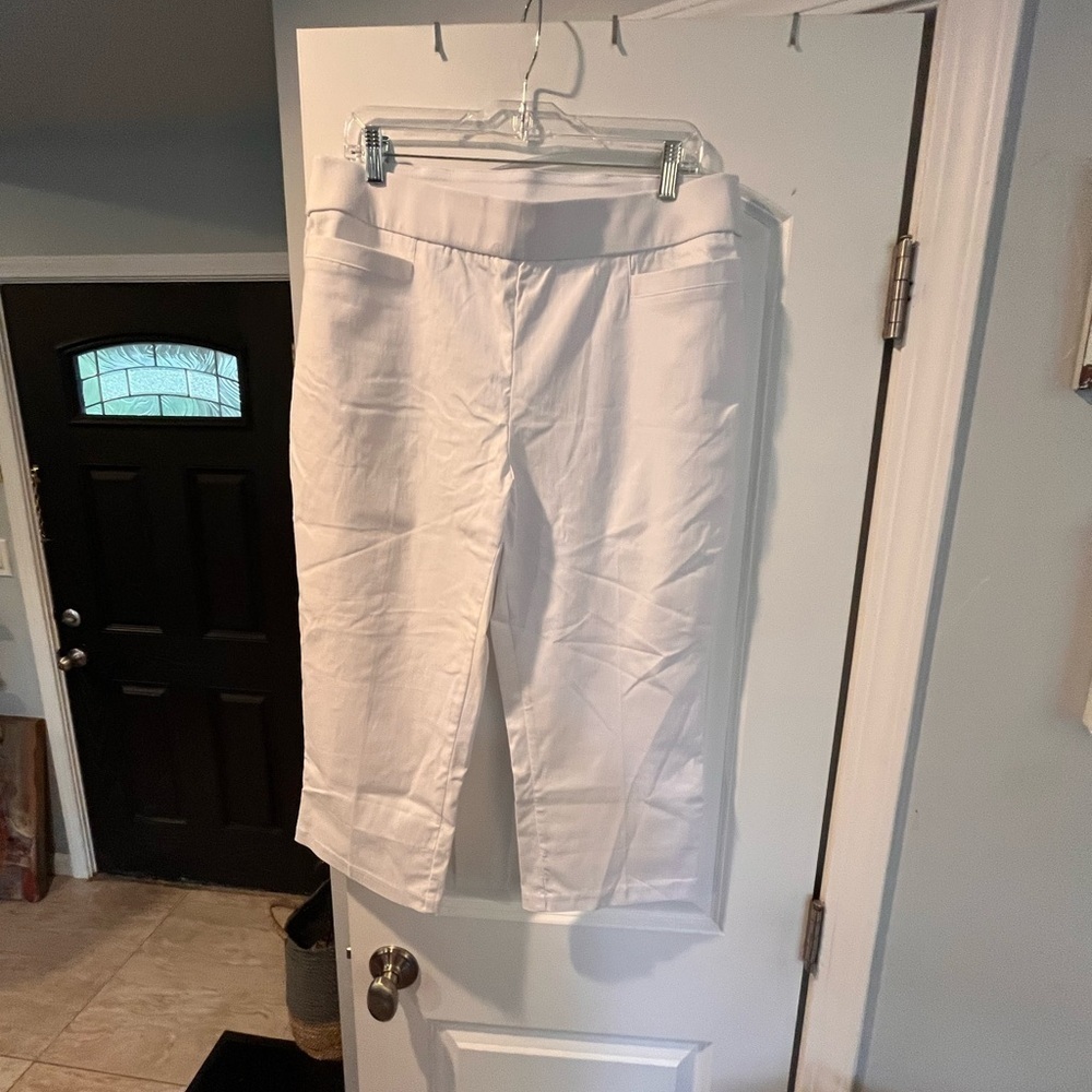 Briggs Capri Pants - Size 14